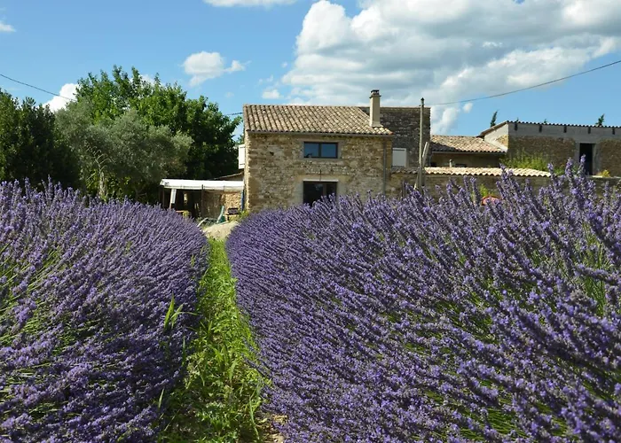 Mas De L'amme Valréas