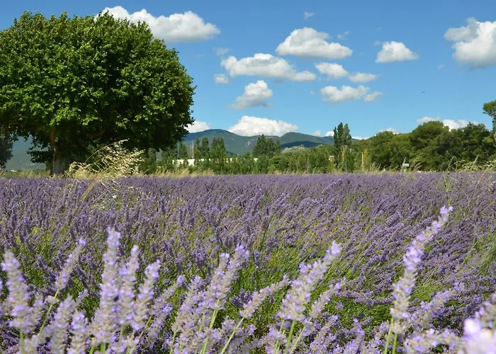 Mas De L'amme Panzió 4*