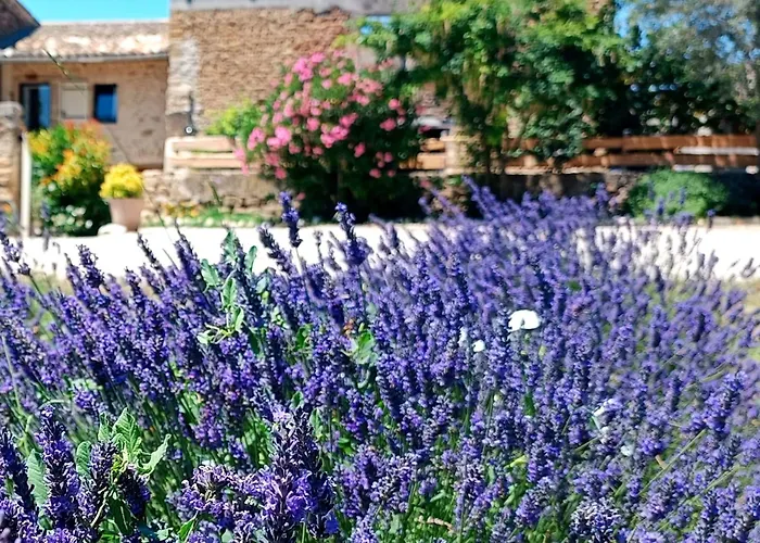 Mas De L'amme