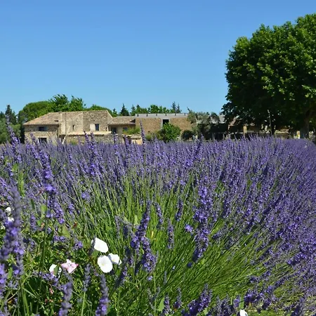 Bed & Breakfast Mas De L'amme