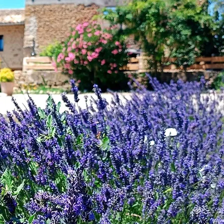 Mas De L'amme